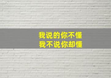 我说的你不懂 我不说你却懂